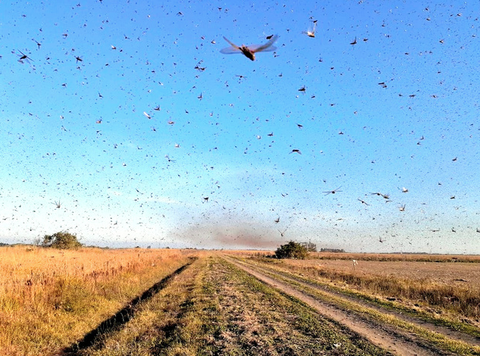 b87382d9d1dc991539a877e3fc9cac6a