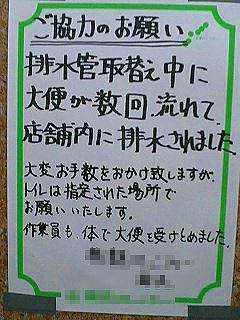 13025181060028