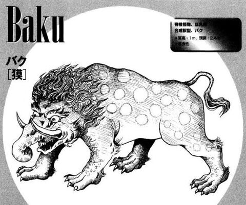 baku001