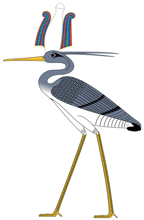 svg