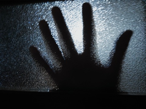 【大惨事】俺、ゴキブリ駆除業者を呼んだ結果ｗｗｗｗｗｗｗｗｗ