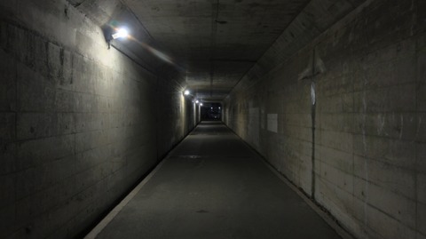 推しの子『星野アイ』と同じ経歴でファンに滅多刺しにされた『高野アイ』という実在のアイドルが存在していた…