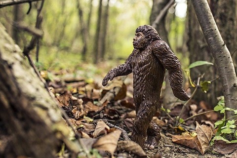 bigfoot-542546_640