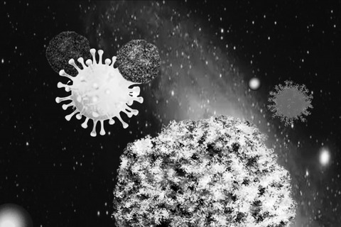 ワイ「濃厚接種者になったンゴ…」 会社「陰性なら出勤して良いよ！」 ワイ「検査したら陰性でしたので出勤します」（ふえぇ…） →