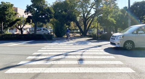 ネッコ「この道路渡りたいニャアでも車が来てるニャア……」→