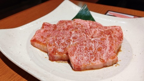 お金なくて肉を7年くらい食わない生活を続けた結果