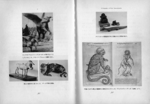 image10