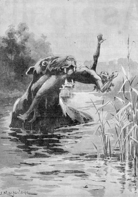 Bunyip_1890