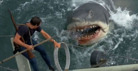m_Jaws-jaws-468735_686_353