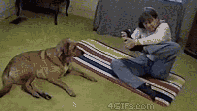Gif 犬gifたくさんみたいんだがwwwwwww うしみつ 2ch怖い話まとめ Gif 犬gifたくさんみたいんだがwwwwwww うしみつ 2ch怖い話まとめ