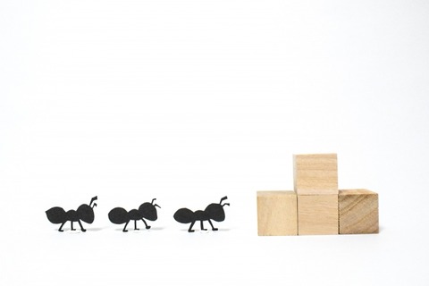 【動画】アリ、みんなで橋を作ってスズメバチの巣を襲撃ｗｗｗｗｗｗ