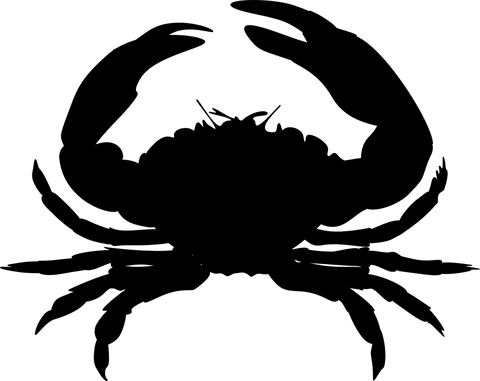crab-312372_960_720