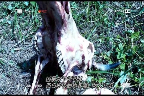PDVD_032