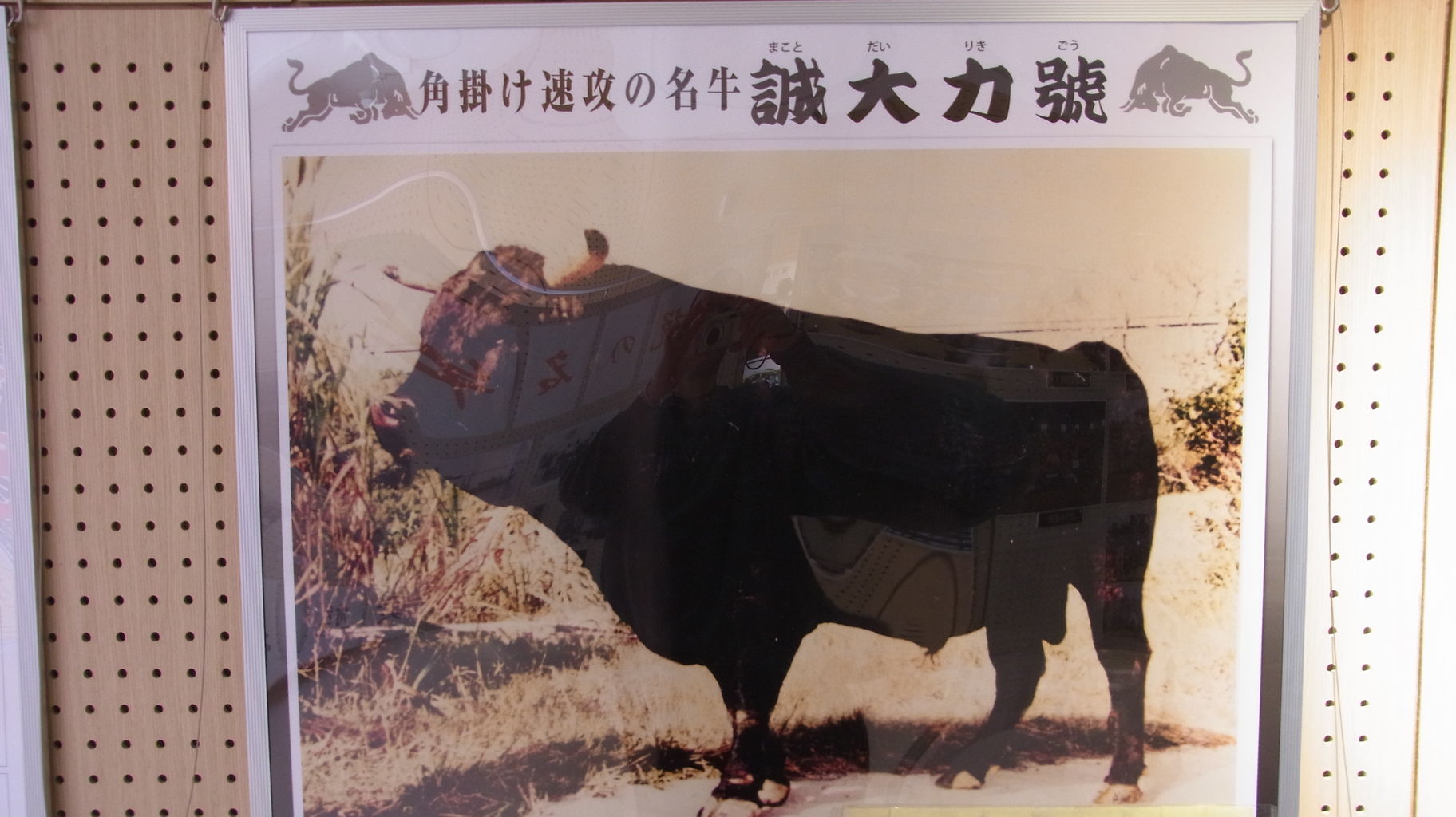 なくさみ館 資料展示室 帰省 暇たりぃむん あっち のブログ徳之島