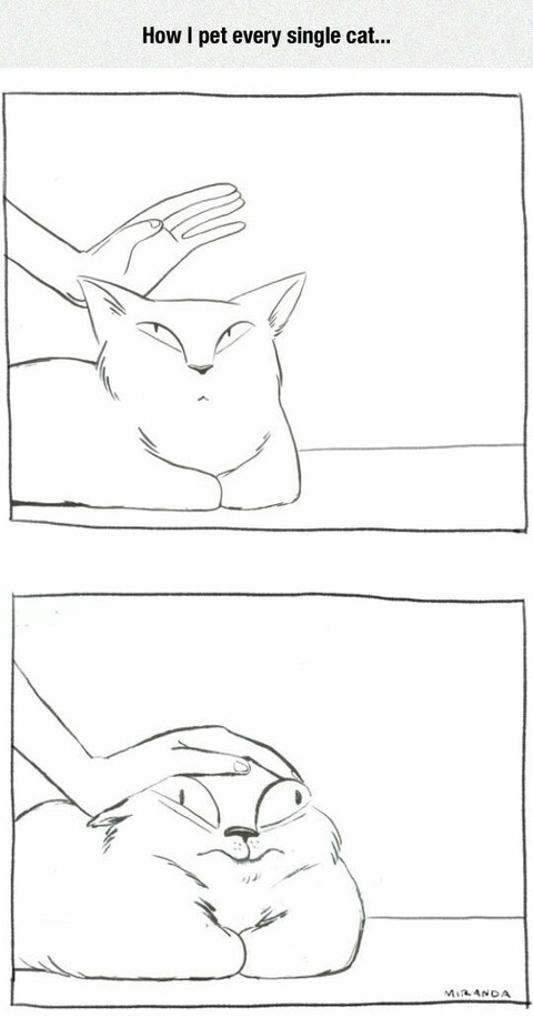 AWgCaUQ