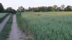 iXtZZSQ - Imgur
