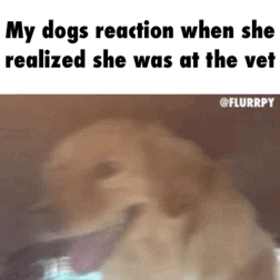 tHaEeqw