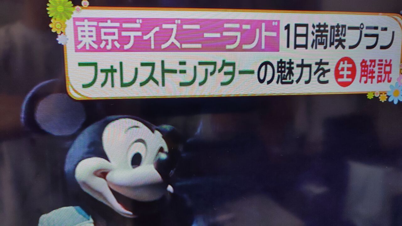 画像あり 風間俊介 浅倉大介 美少年 藤井直樹とクリスマスディズニー1日満喫プランを体験 ヒルナンデス パンダusjのショー パレ動画好き ユニバーサル スタジオ ジャパンの情報系ブログ
