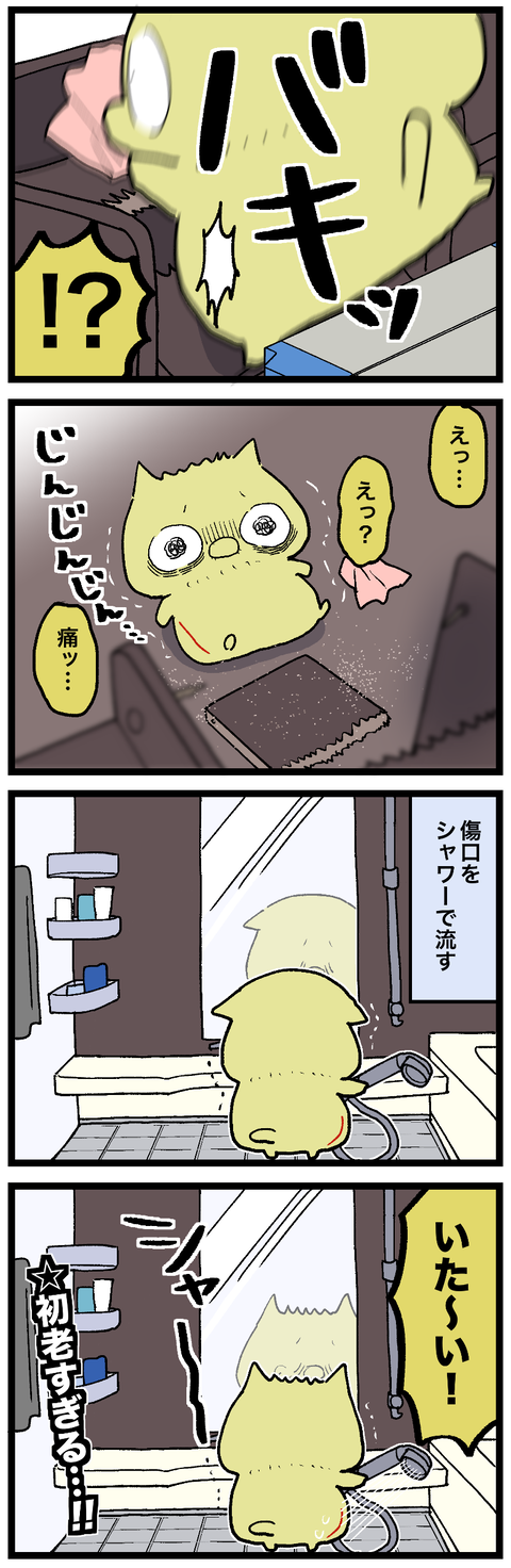 blog00937-02
