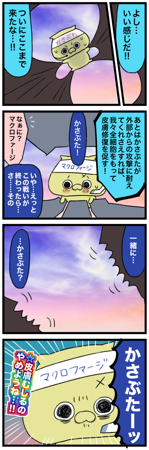 blog00228-03
