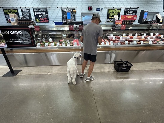 240105¥Ú¥Ã¥È¡÷ÀºÆù¥³¡¼¥Ê¡¼