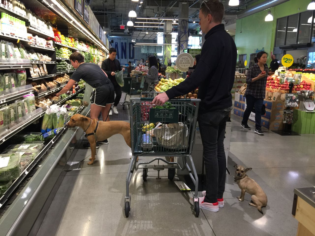 ペット同伴 アメリカにもグレーゾーン ワンコを食品スーパーに普通に連れてくる 激しくウォルマートなアメリカ小売業ブログ