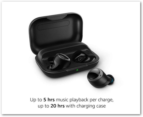 190929エコーバズ