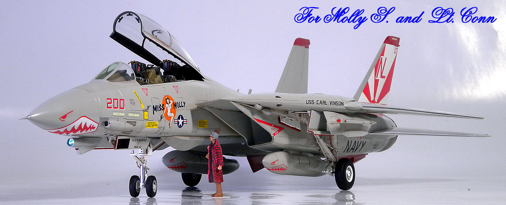 F-14A トムキャット 1/48 タミヤ (完成） : Go Navy! (乙)