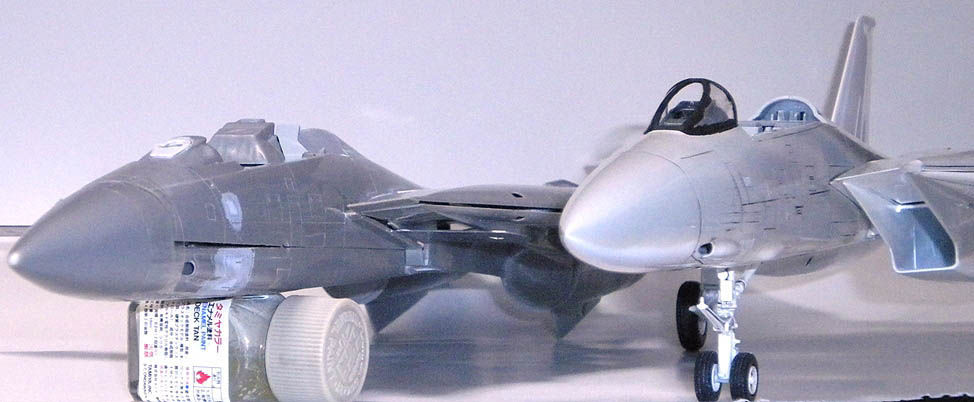 Go Navy! (乙) : F-14A トムキャット ホビーボス 1/48 (10)