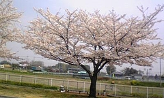 DVC00068