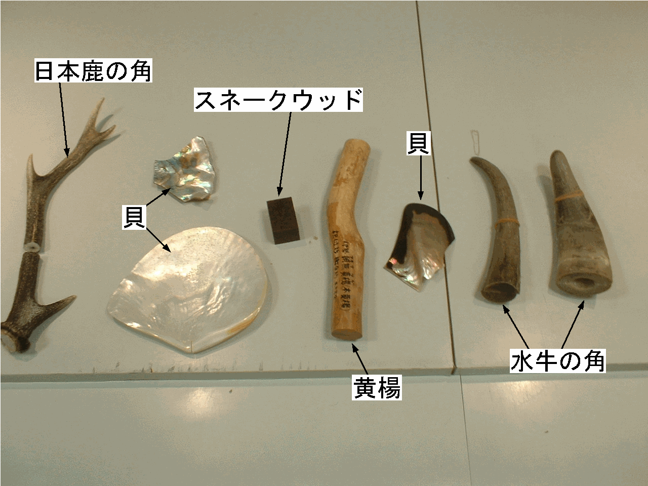 根付教室 薄羽蜻蛉日記 根付教室 薄羽蜻蛉日記