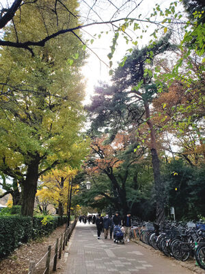 406030095_6561792487263498_9095975308545188009_n