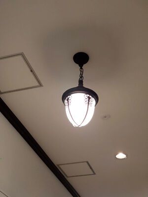 406030092_6561795620596518_4065203567823737216_n