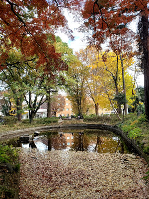 406074607_6561799477262799_8136994425965819809_n