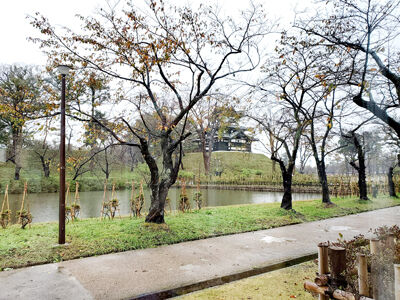 400852494_6509757455800335_9739659472364767071_n