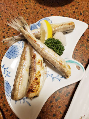 400987352_6509757232467024_33768010462840231931_n