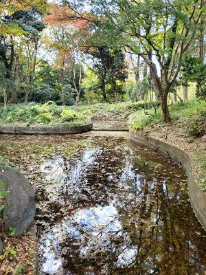 406004670_6561799817262765_2035565388839213503_n