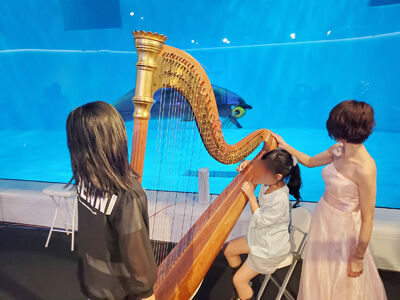 400742890_6501343246641756_46277396982075537171_n