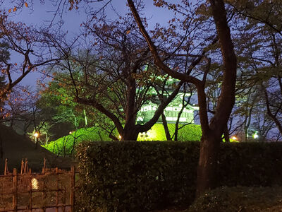 400796618_6509756035800477_87956778608440043321_n