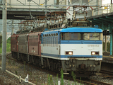 EF81-4¡¼Ìç»Ê