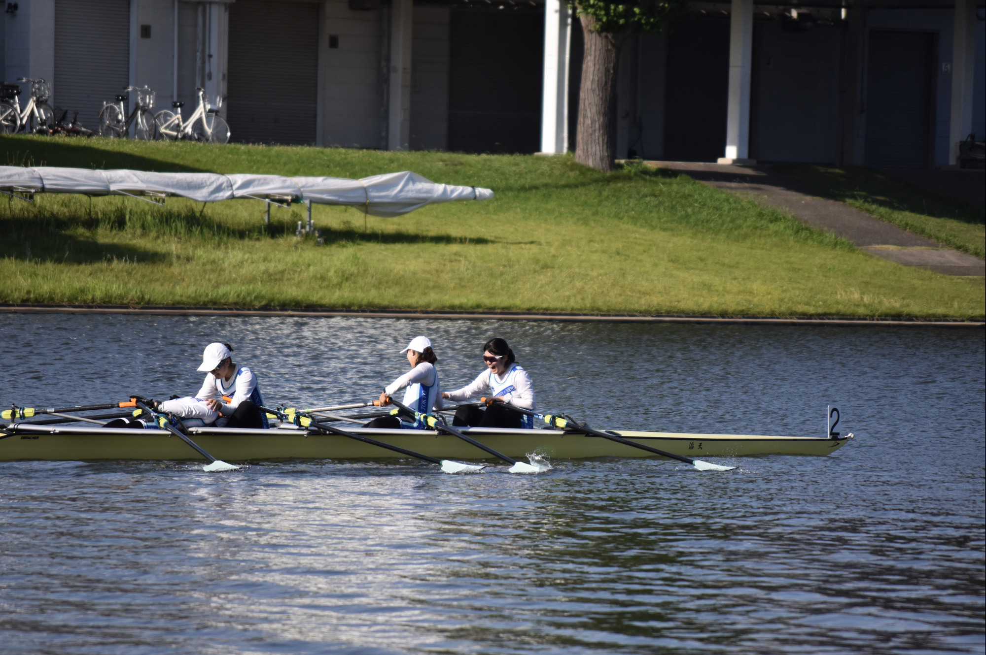 �����꡼�󥷥�å� 2025-12-31 19.35.20