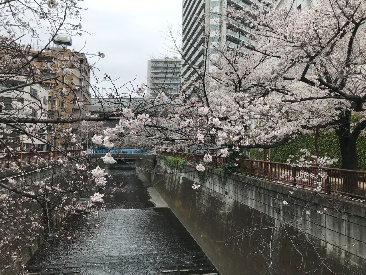 Image from iOS