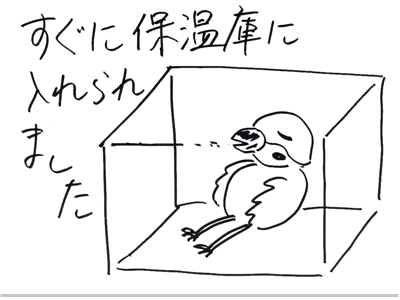 【漫画】♂♂ゲイです、ほぼ夫婦です-8