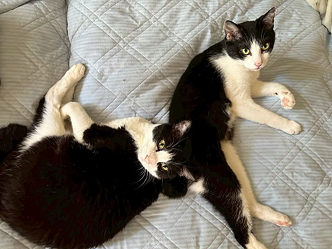 LINE_ALBUM_20190609_251018_1