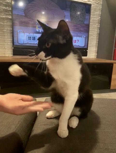 007