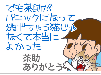 【漫画】♂♂ゲイです、ほぼ夫婦です-3