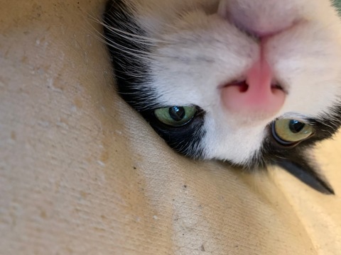 006