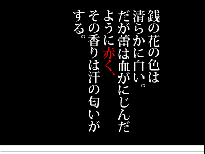 【漫画】♂♂ゲイです、ほぼ夫婦です-1