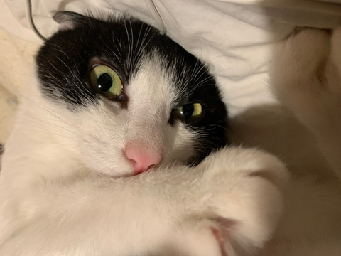 007