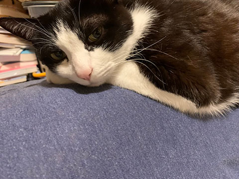 LINE_ALBUM_20200630_251025_1